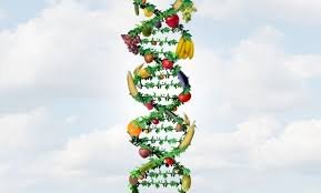Foto GB, RNA