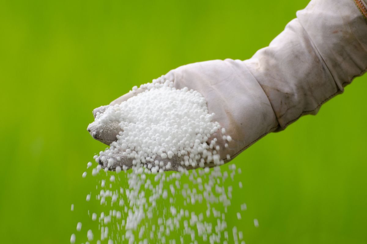 Foto UREA